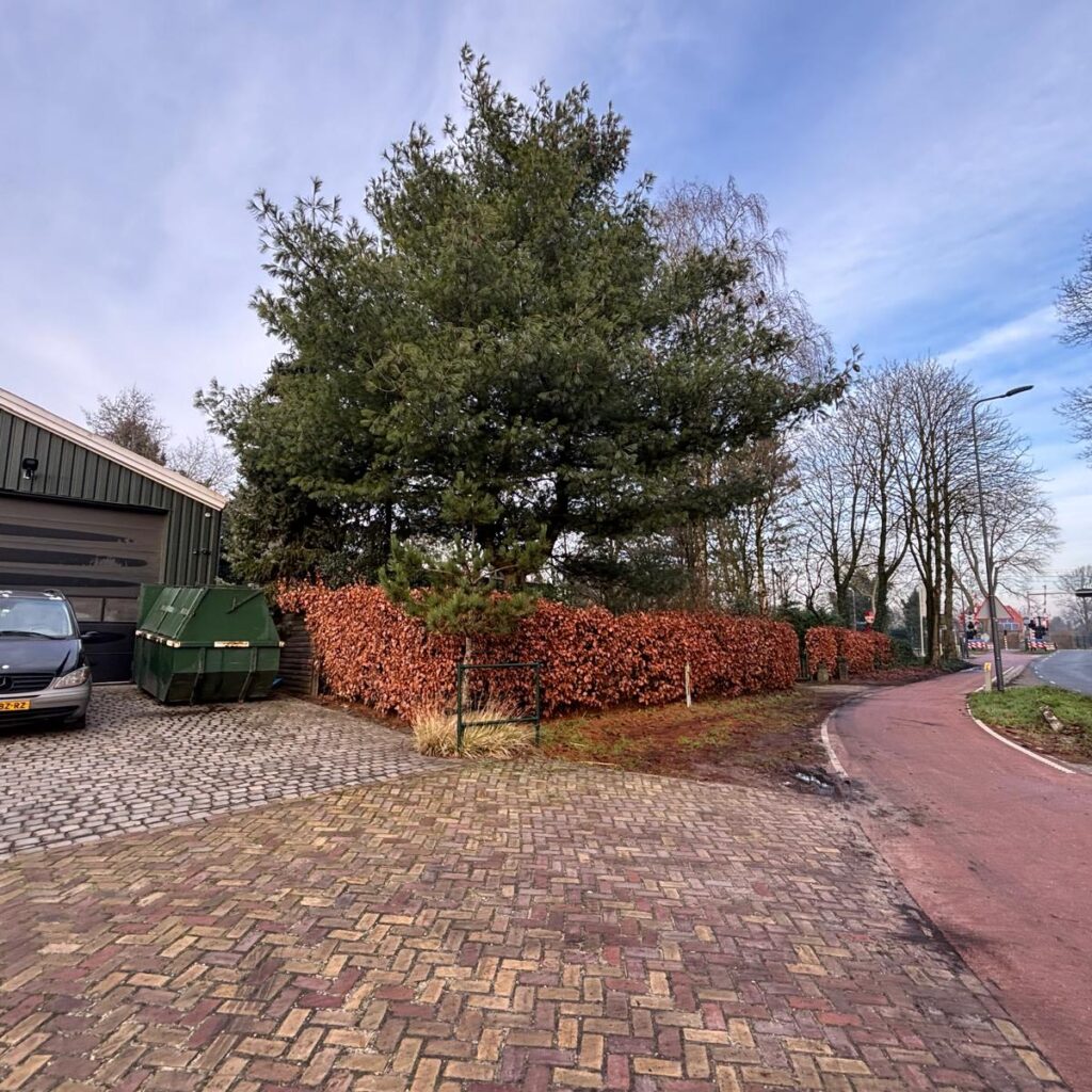 Vliertwijksestraat 47 Rosmalen