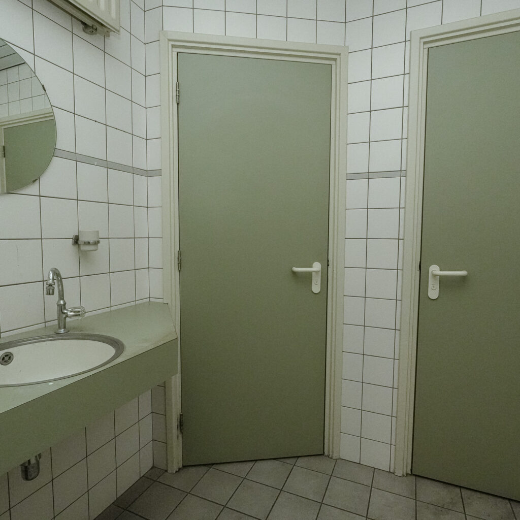 Leeuwenhoeckweg 3 Veghel