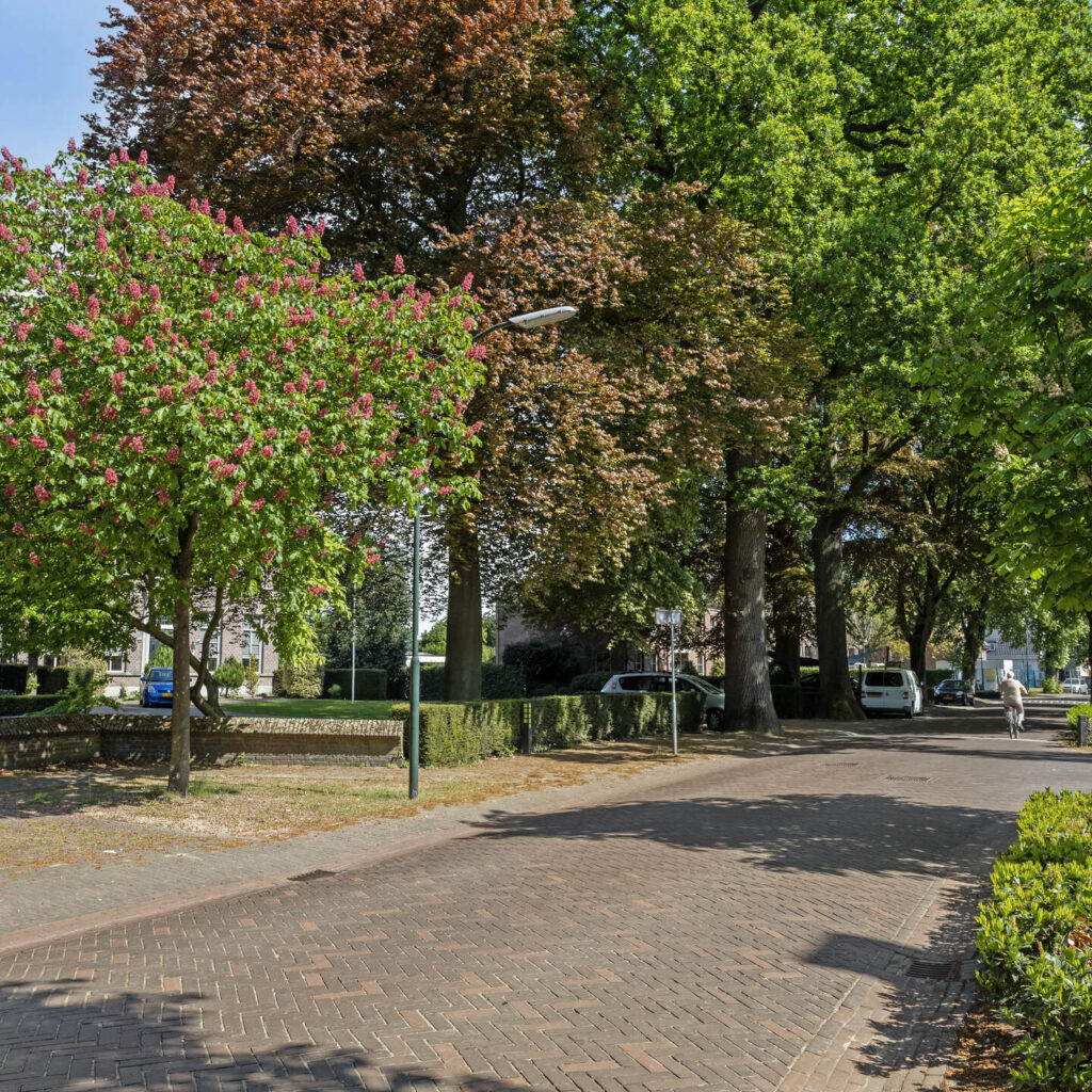 Kastanjelaan 14 Helvoirt