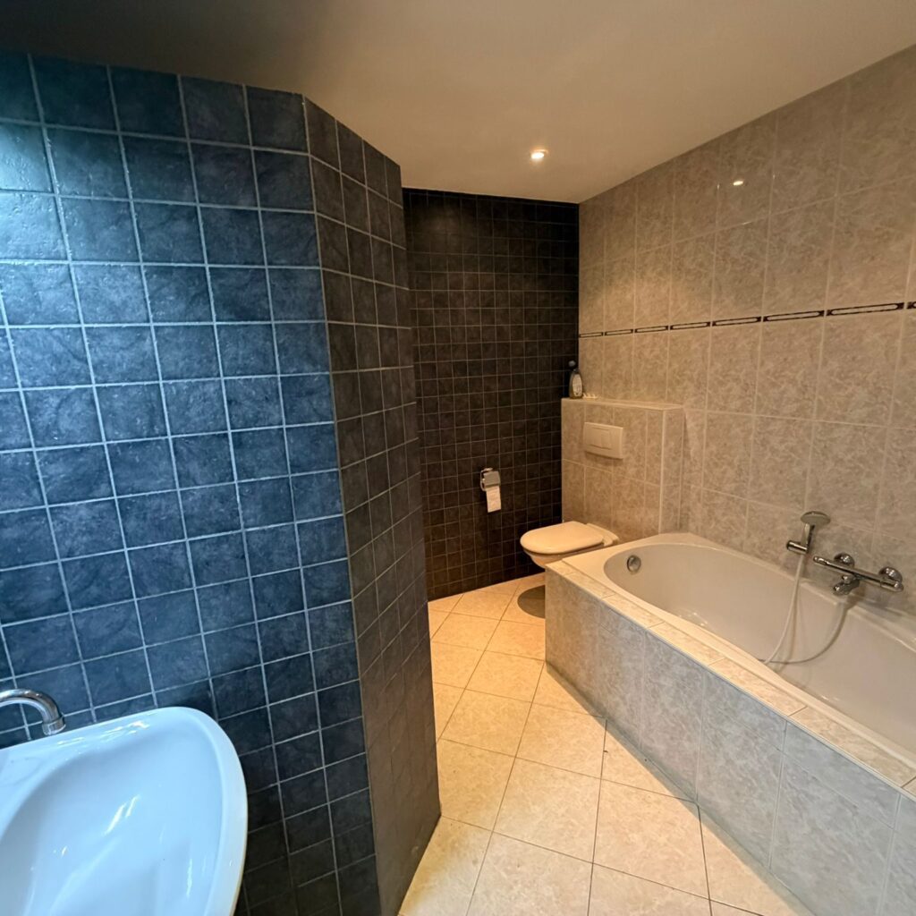 Bramerslandstraat 17 A Den dungen